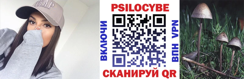 Галлюциногенные грибы Cubensis  Кондрово 